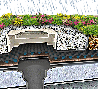 Green roof section detail